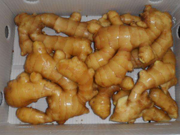 上海冉繪,冉繪儀器,廠家直銷